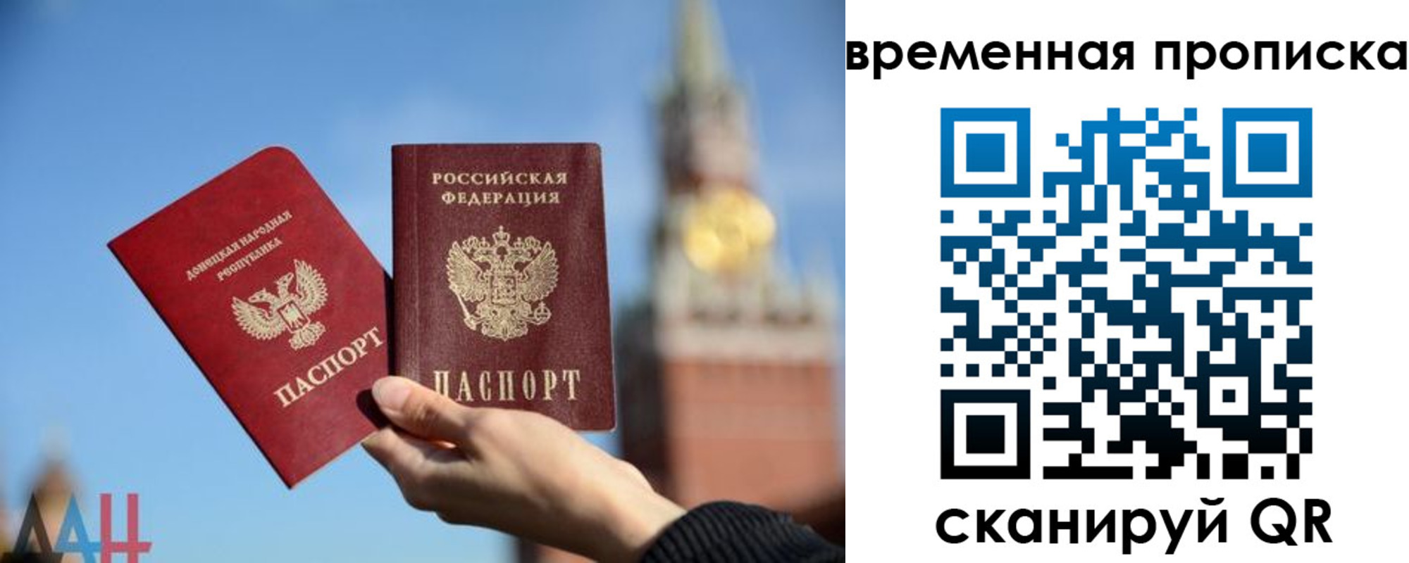 прописка законно в Торопеце